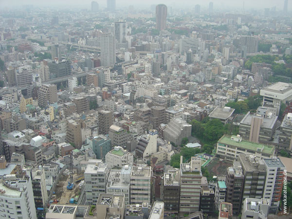 023-Tokyo-Tower5