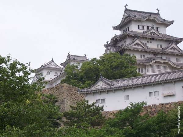 Japan 2006 Frettchen 126